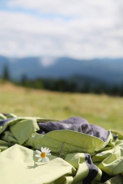 Papatya, arka planda, paltoda yatıyor..