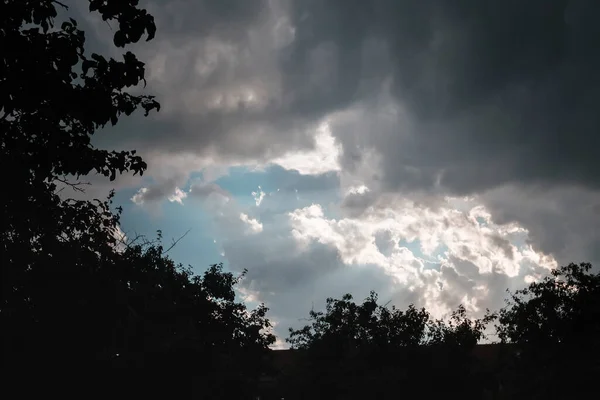 Wolkenlandschaft Mit Altocumuluswolken Und Bäumen Abend — Stockfoto