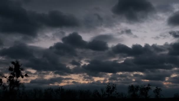 Dramatic Storm Clouds Rolling Forest Sunset — Stock Video