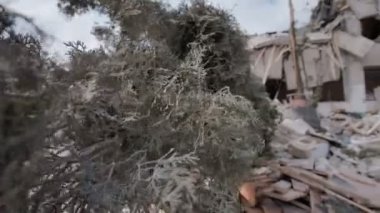 Bombanın yol açtığı sonuçlar okulun üzerine düştü. Rus ordusu havadan saldırıyor. Thuja bir bombadan sonra düştü.