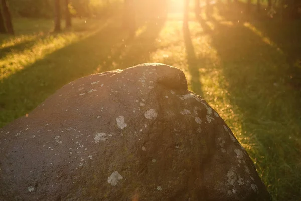 Morgenblick Mit Der Sonne Die Mit Regentropfen Auf Den Felsen — Stockfoto