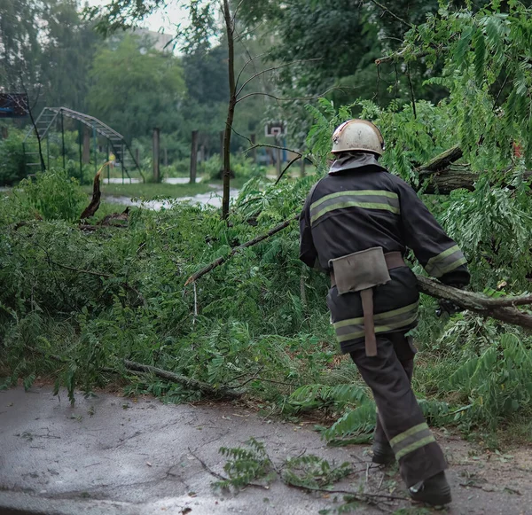 Pompiers Aident Nettoyer Les Arbres Tombés Sur Les Voitures Après — Photo