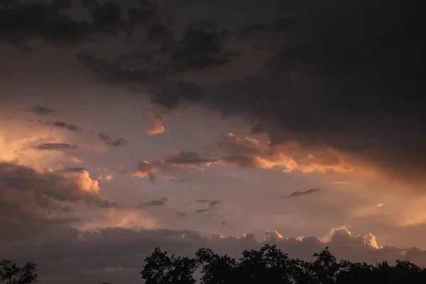 dark gray storm clouds after the rain texture with horizon and trees silhouettes