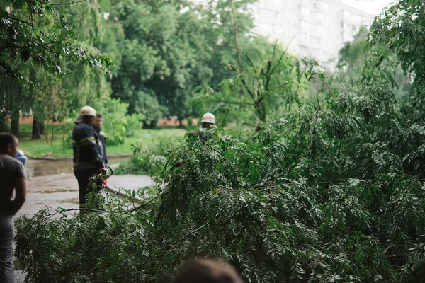 在雨天 消防员帮助清理汽车上倒下的树 — 图库照片