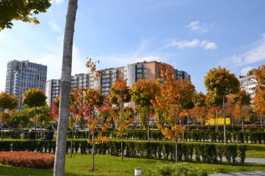 Sonbahar park görünümünü