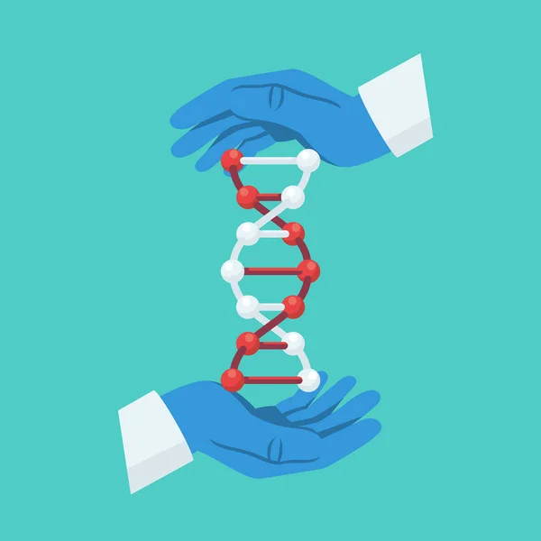 Struktura DNA trzymająca lekarza w rękach. Wektor ikony DNA — Wektor stockowy