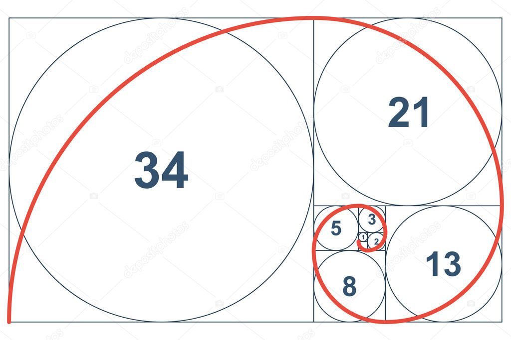 Spiral Fibonacci. Geometric proportion. Fibonacci numbers.