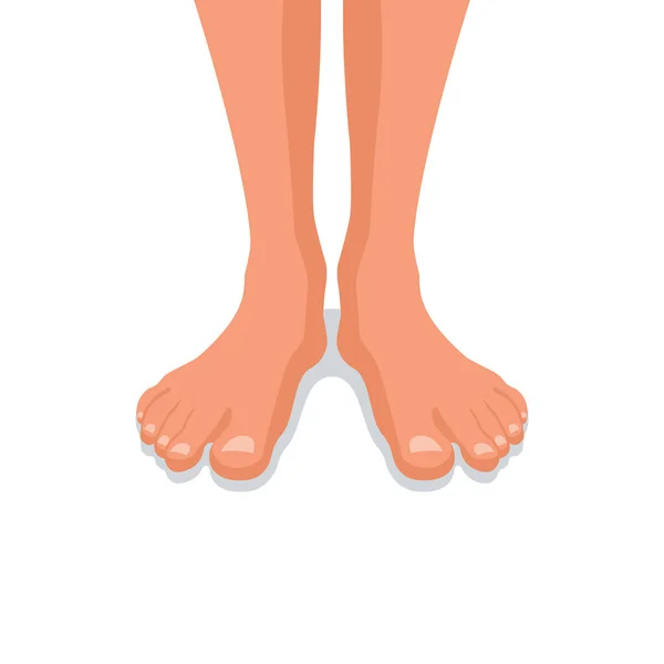 Босые ноги. Ноги человека, пальцы и ногти. — стоковый вектор