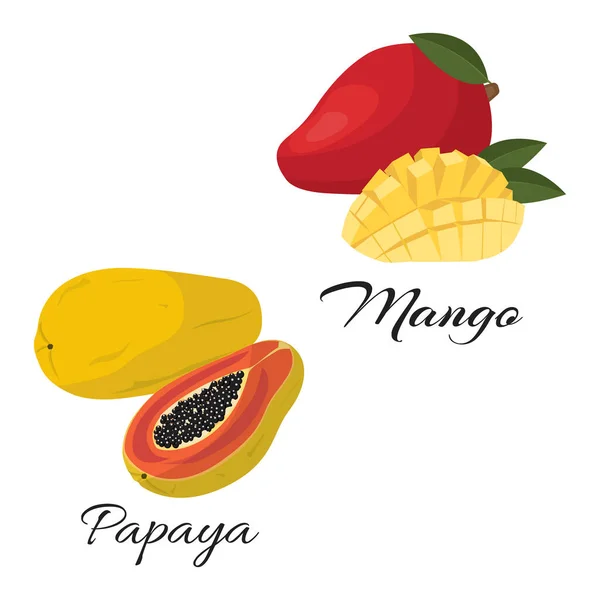 Papaya Mangó Érett Természetes Termék Egészséges Táplálkozás Elszigetelve Fehér Háttérrel — Stock Vector