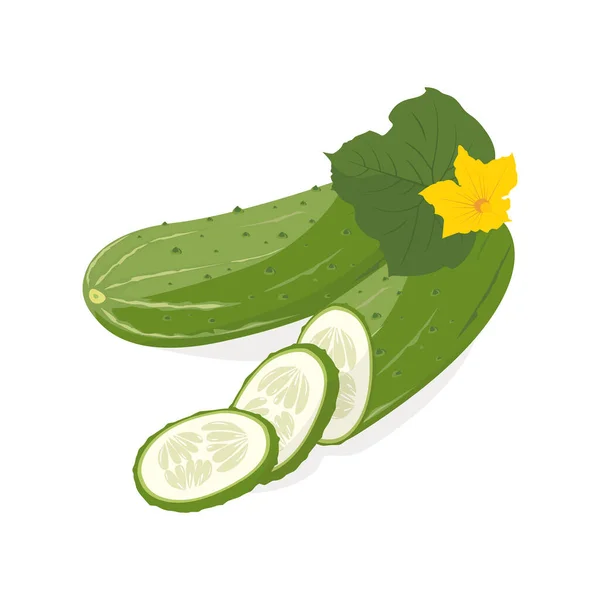 Cucumbers Set Whole Cucumber Half Chopped Slices Cucumbers Group Fresh — Archivo Imágenes Vectoriales