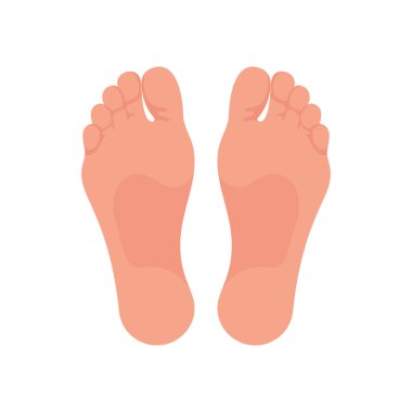 Soles of feet. The foot of the foot of a man or woman. Template for podiatry. The lower part of the human body. Bare foot. Vector illustration flat design. Isolated on white background.