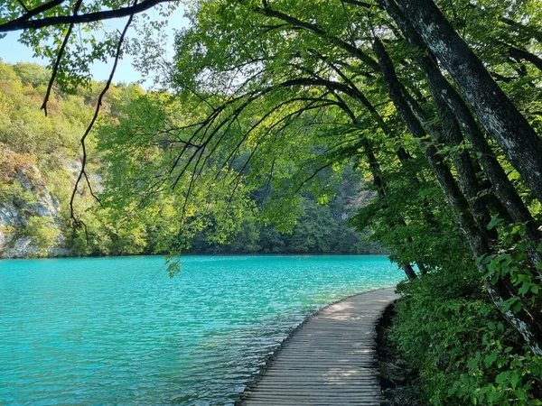 Nehir ve su olan güzel bir manzara. Doğa, seyahat, rahatlık.