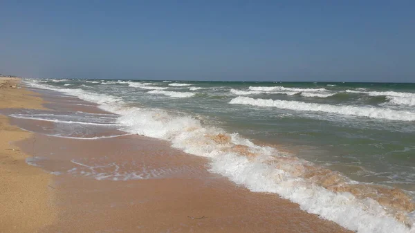  Azov Denizi 'nin kumlu sahilinde el sallayın. Ukrayna.