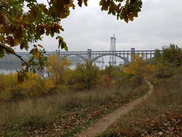  Köprü ve nehir manzarası Ukrayna 'nın Zaporozhye kentindeki Horytsia adasının parkında.