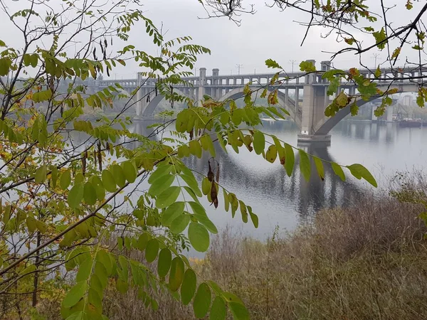  Köprü ve nehir manzarası Ukrayna 'nın Zaporozhye kentindeki Horytsia adasının parkında.