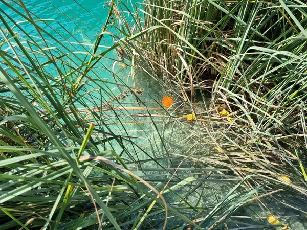 Güzel göl manzarası 