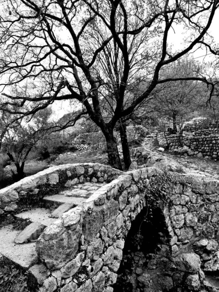   Kuru bir nehir yatağının üzerindeki eski taş köprü.