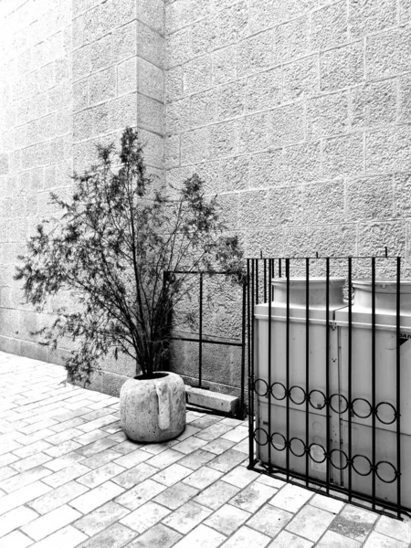  Montgro 'da güzel bir caddenin parçası 