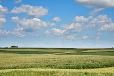 Mavi gökyüzünün altında bulutlu tarlalar