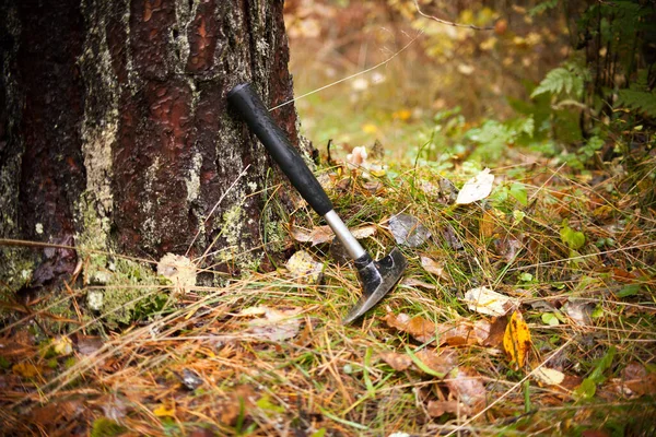 Geologists hammer and Autumn forest - Geological Fieldwork. geologists hammer, rock hammer, rock pick, or geological pick - hammer used for splitting and breaking rocks.