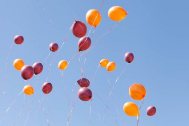 Mavi gökyüzünde uçan renkli balonlar. Gökyüzünde mutlu insanlardan uçmak. Yazın güneşli bir günde balon bırakmak ya da kutlama yapmak..