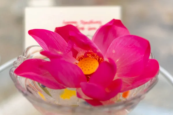 Lotus flower in the bowl