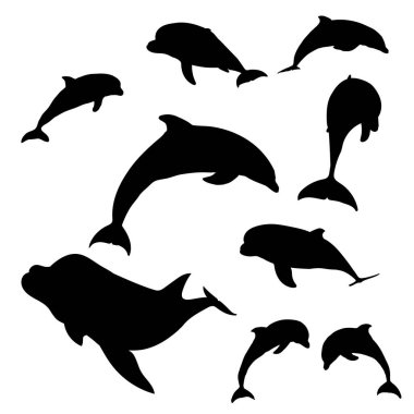 Yunus robot resim toplama vektörleri