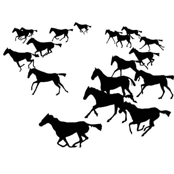 Cavalos Correndo Movimentos Esboço Vetores —  Vetores de Stock
