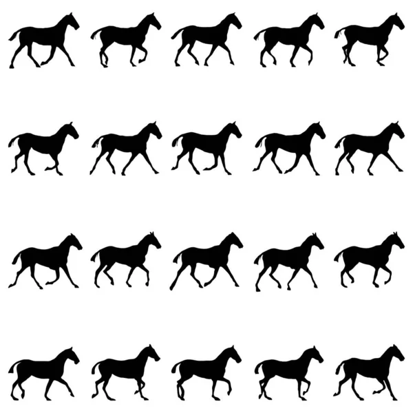 Horse Movements Sketch Collection Vectors — Stock Vector