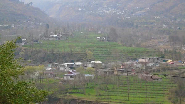 Osett Naturlig Skönhet Kashmir Valley — Stockfoto