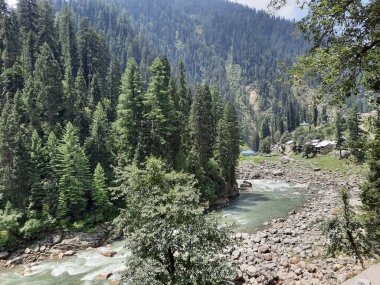 Kashmir is famous all over the world due to its natural beauty, green trees, high mountains, beautiful valleys, flowing springs, it is also called the Switzerland of the East.