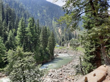 Kashmir is famous all over the world due to its natural beauty, green trees, high mountains, beautiful valleys, flowing springs, it is also called the Switzerland of the East.