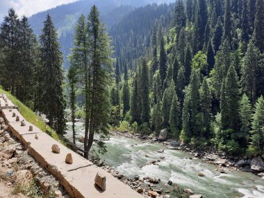 Kashmir is famous all over the world due to its natural beauty, green trees, high mountains, beautiful valleys, flowing springs, it is also called the Switzerland of the East.