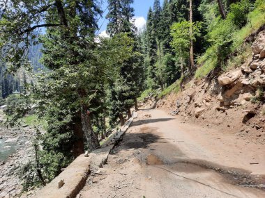 Kashmir is famous all over the world due to its natural beauty, green trees, high mountains, beautiful valleys, flowing springs, it is also called the Switzerland of the East.