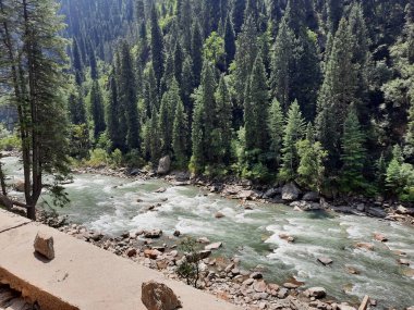 Kashmir is famous all over the world due to its natural beauty, green trees, high mountains, beautiful valleys, flowing springs, it is also called the Switzerland of the East.