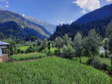 Kashmir is famous all over the world due to its natural beauty, green trees, high mountains, beautiful valleys, flowing springs, it is also called the Switzerland of the East.