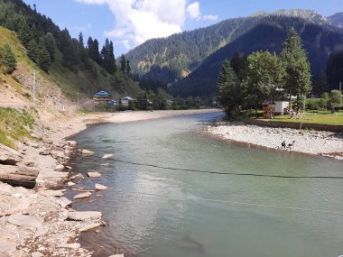 Kashmir is famous all over the world due to its natural beauty, green trees, high mountains, beautiful valleys, flowing springs, it is also called the Switzerland of the East.