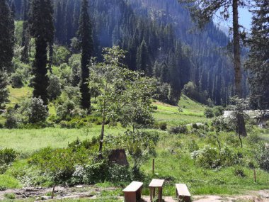 Kashmir is famous all over the world due to its natural beauty, green trees, high mountains, beautiful valleys, flowing springs, it is also called the Switzerland of the East.