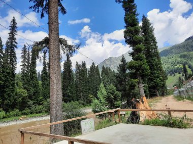 Kashmir is famous all over the world due to its natural beauty, green trees, high mountains, beautiful valleys, flowing springs, it is also called the Switzerland of the East.