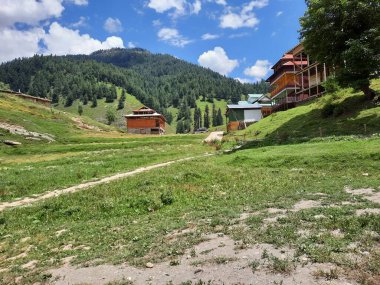 Kashmir is famous all over the world due to its natural beauty, green trees, high mountains, beautiful valleys, flowing springs, it is also called the Switzerland of the East.