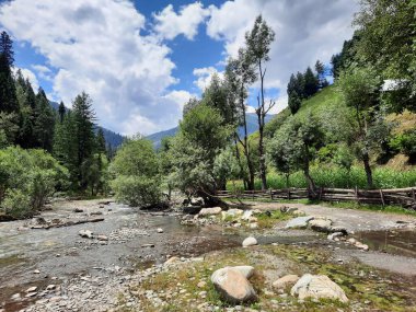 Kashmir is famous all over the world due to its natural beauty, green trees, high mountains, beautiful valleys, flowing springs, it is also called the Switzerland of the East.