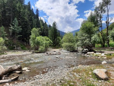 Kashmir is famous all over the world due to its natural beauty, green trees, high mountains, beautiful valleys, flowing springs, it is also called the Switzerland of the East.