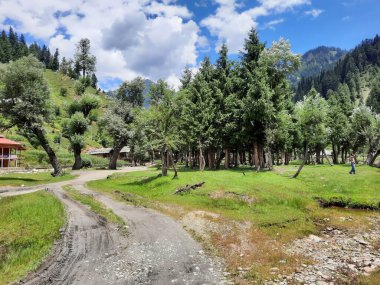 Kashmir is famous all over the world due to its natural beauty, green trees, high mountains, beautiful valleys, flowing springs, it is also called the Switzerland of the East.