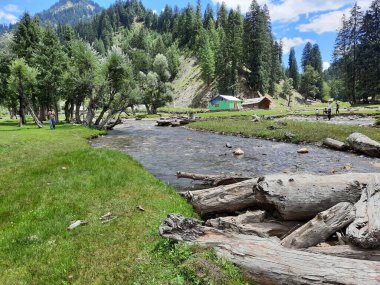 Kashmir is famous all over the world due to its natural beauty, green trees, high mountains, beautiful valleys, flowing springs, it is also called the Switzerland of the East.