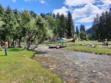 Kashmir is famous all over the world due to its natural beauty, green trees, high mountains, beautiful valleys, flowing springs, it is also called the Switzerland of the East.