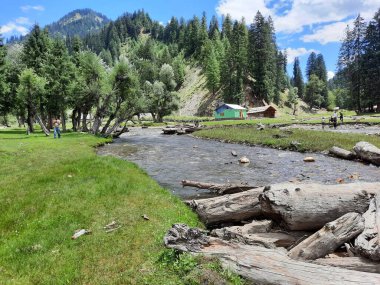 Kashmir is famous all over the world due to its natural beauty, green trees, high mountains, beautiful valleys, flowing springs, it is also called the Switzerland of the East.