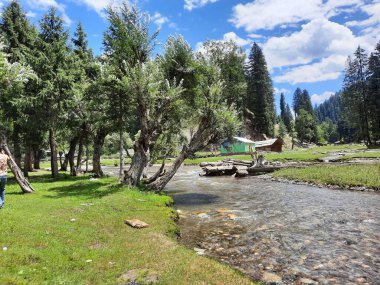 Kashmir is famous all over the world due to its natural beauty, green trees, high mountains, beautiful valleys, flowing springs, it is also called the Switzerland of the East.