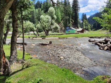 Kashmir is famous all over the world due to its natural beauty, green trees, high mountains, beautiful valleys, flowing springs, it is also called the Switzerland of the East.