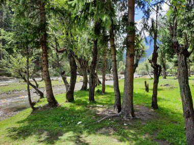 Kashmir is famous all over the world due to its natural beauty, green trees, high mountains, beautiful valleys, flowing springs, it is also called the Switzerland of the East.