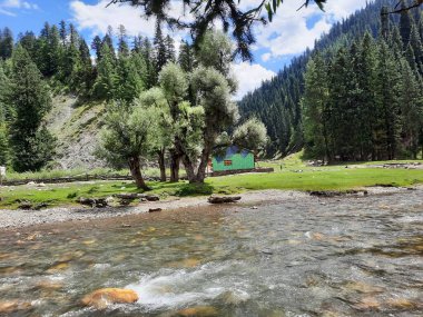 Kashmir is famous all over the world due to its natural beauty, green trees, high mountains, beautiful valleys, flowing springs, it is also called the Switzerland of the East.